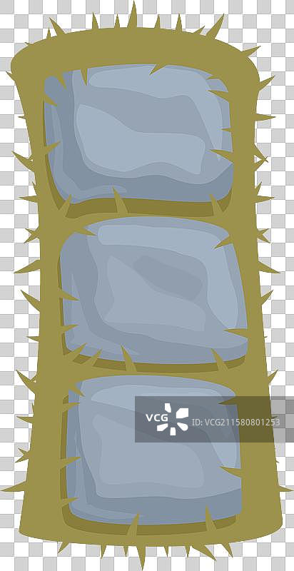 有刺的仙人掌以三排生长图片素材