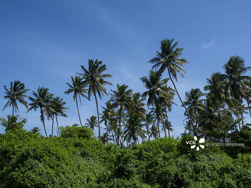 斯里兰卡海滨风光图片素材