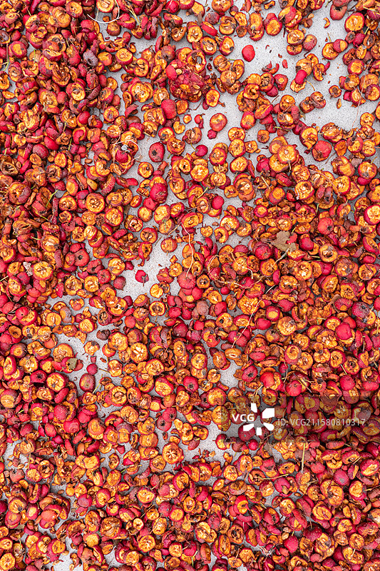 中国水果果树拍摄拍摄主题，地面上布满了切片的红色的山楂果实，户外白昼无人图像摄影图片素材
