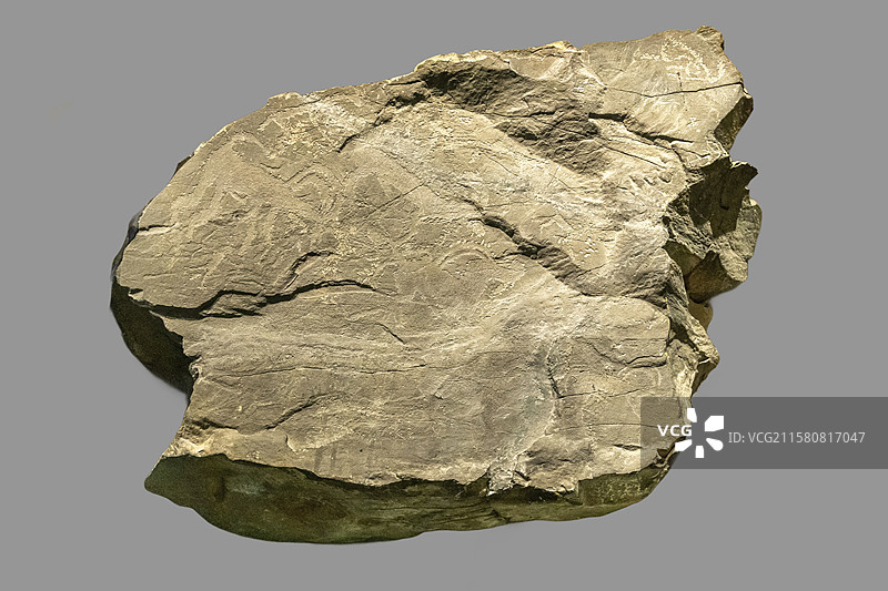 内蒙古包头市博物馆“古代岩画陈列”展：北山羊群（春秋，巴彦淖尔市乌拉特中旗采集，凿刻后打磨）图片素材