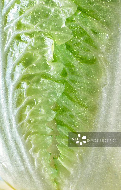 蔬菜特写，白菜的叶子，绿叶图片素材