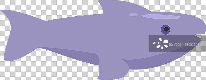 可爱的紫色鱼张嘴游泳图片素材