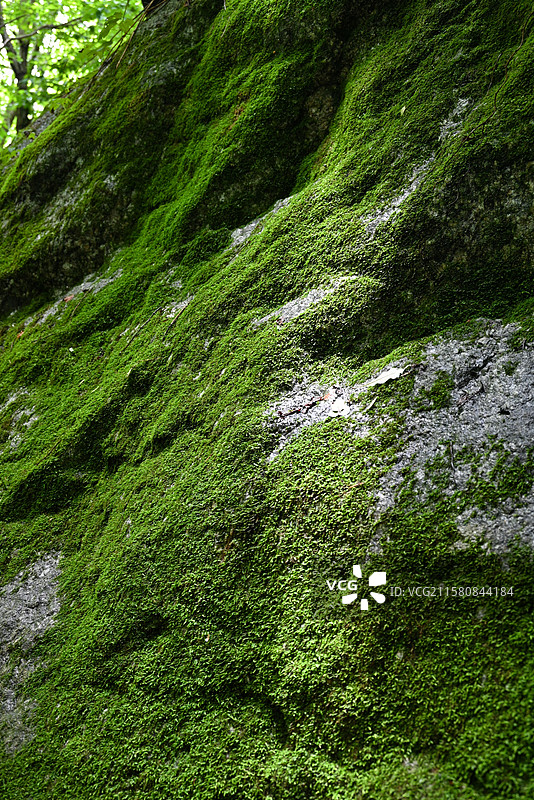 宽甸百瀑峡图片素材
