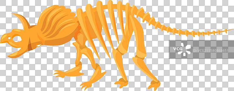 三角龙骨架在博物馆中摆姿势图片素材