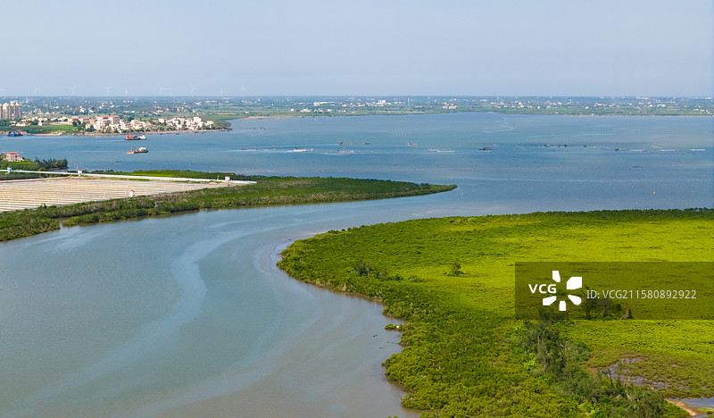 海口红树林湿地图片素材