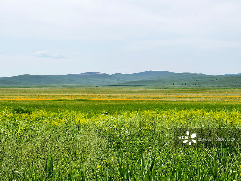 金莲川草原风光图片素材