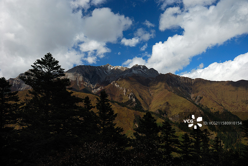去川西黄龙景区路边秋季风光 蓝天白云树木高山雪山图片素材