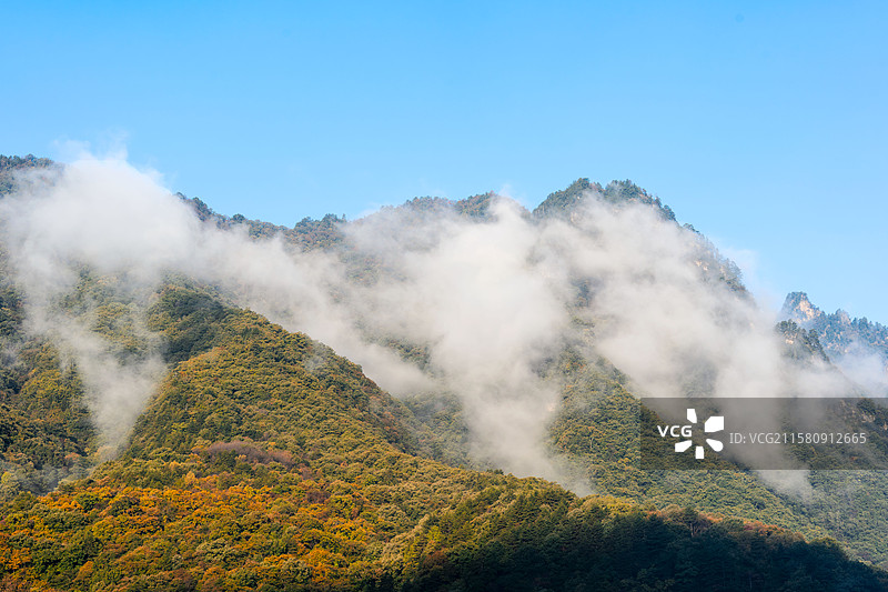 高空视角城市的建筑和户外美景图片素材