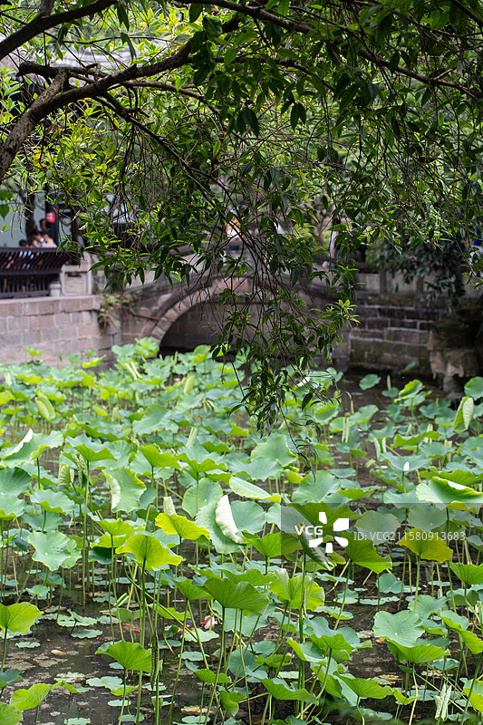 四川成都武侯区武侯祠汉昭烈庙图片素材