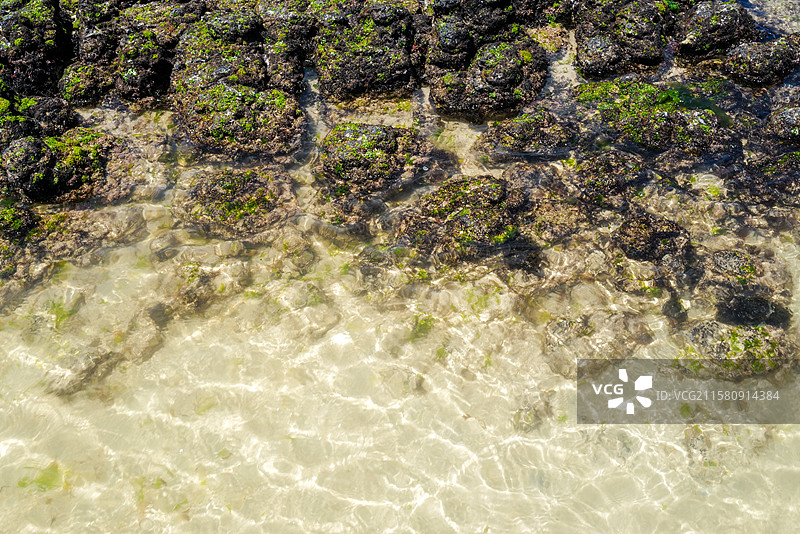 济州岛 牛岛风景 海边图片素材
