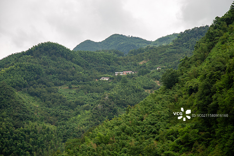 青山叠翠，竹林深处的宁静村落图片素材