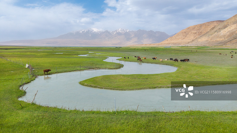 塔合曼湿地图片素材