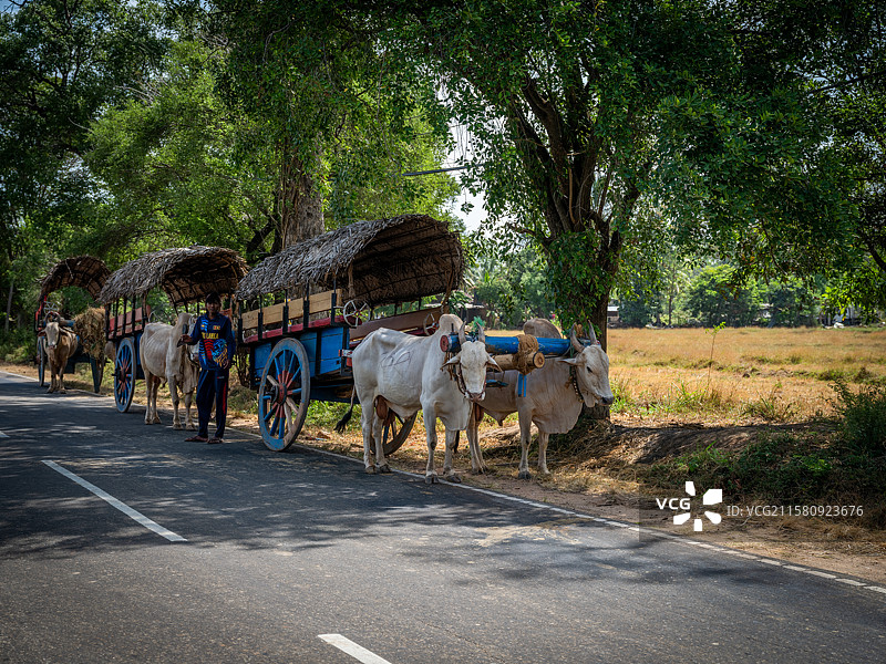 斯里兰卡马特莱乡村风光图片素材