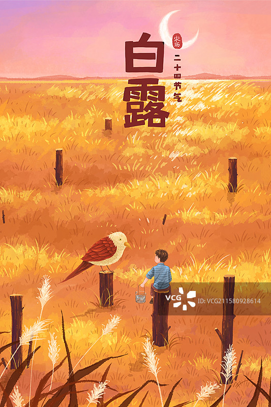 节气插画海报白露图片素材