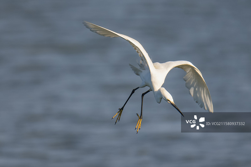 英姿飒爽图片素材