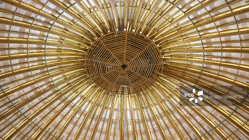 上海 世博会 印度馆 建筑  竹制穹顶图片素材