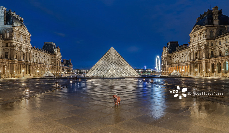法国巴黎，夜晚雨后的卢浮宫图片素材