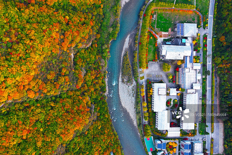 航拍秋叶铺满山谷图片素材