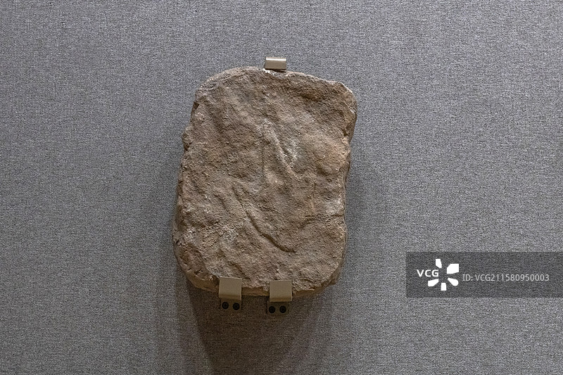 内蒙古博物院跟垫亚洲足迹时代早白垩世产地内蒙古鄂尔多斯市鄂托克旗查布地区图片素材