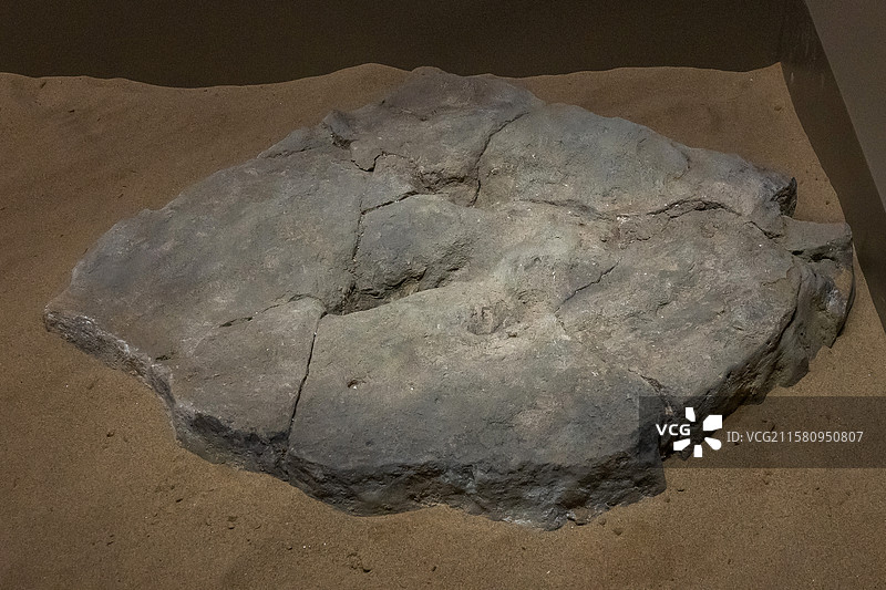 内蒙古博物院洛克里查布足迹(行迹1组3件)时代早白垩世产地内蒙古鄂尔多斯市鄂托克旗查布地区图片素材