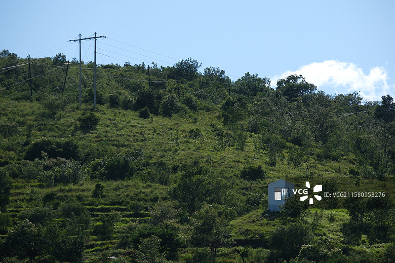 高山森林草甸景观-北京大安山樵涧峰越野公园自然风光图片素材