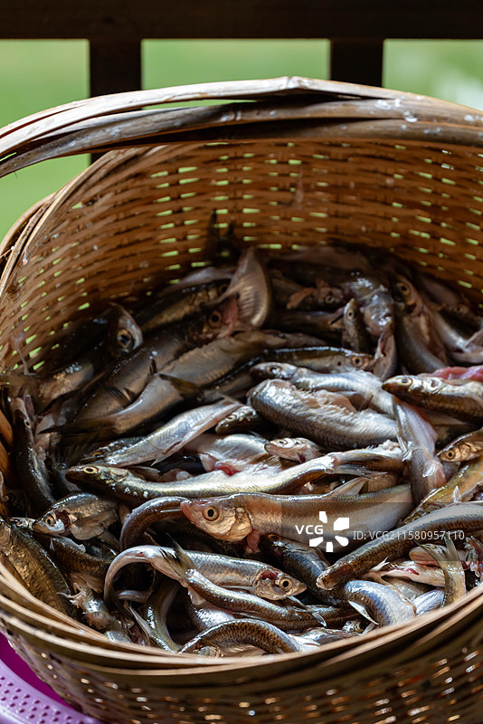 浙江湖州荻港古镇特色美食酥炸小鱼图片素材