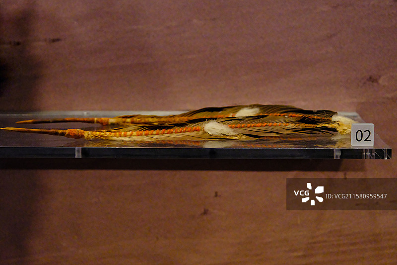 中国新疆历史文化，新疆出土先秦时期文物,尉梨县孔雀河古距今4000至3400年，若羌县小河墓地出土，图片素材