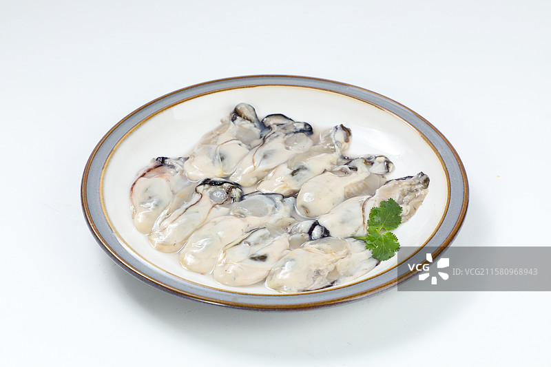 冷冻牡蛎肉图片素材