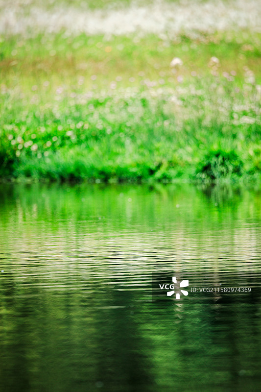 户外风光：绿色图片素材