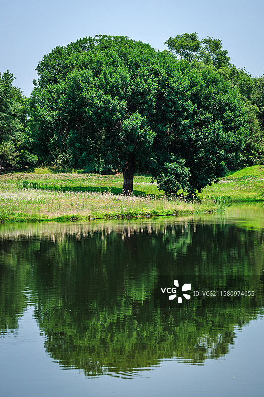 户外风光：绿色图片素材