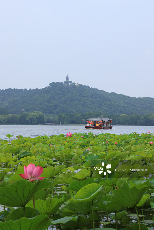 苏州石湖公园上方山荷花湖景图片素材