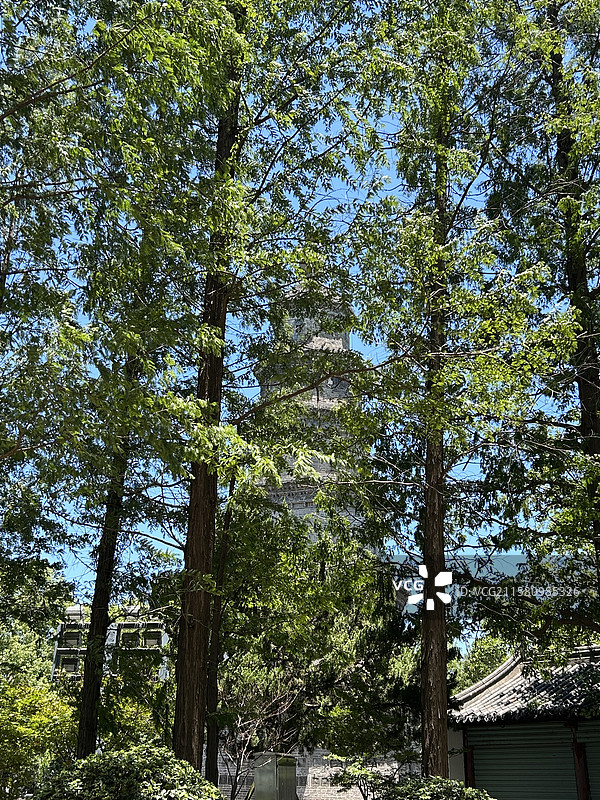 荆州万寿园古塔静立，岁月凝韵图片素材