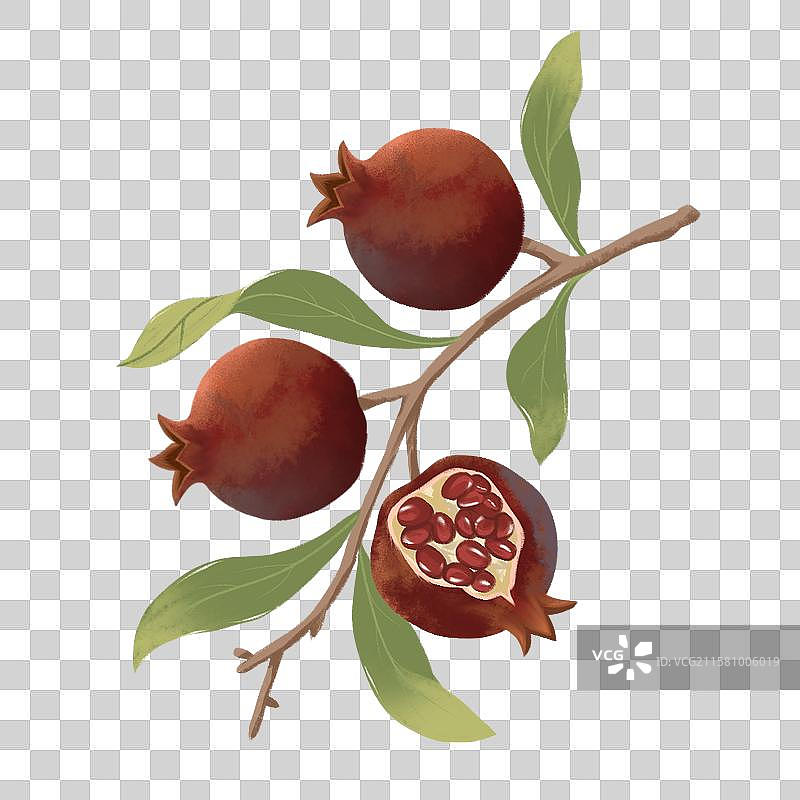 水果石榴免抠元素图片素材