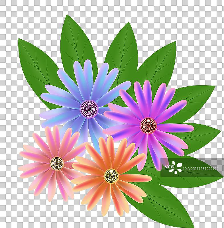 白色背景上的新鲜绿叶图片素材