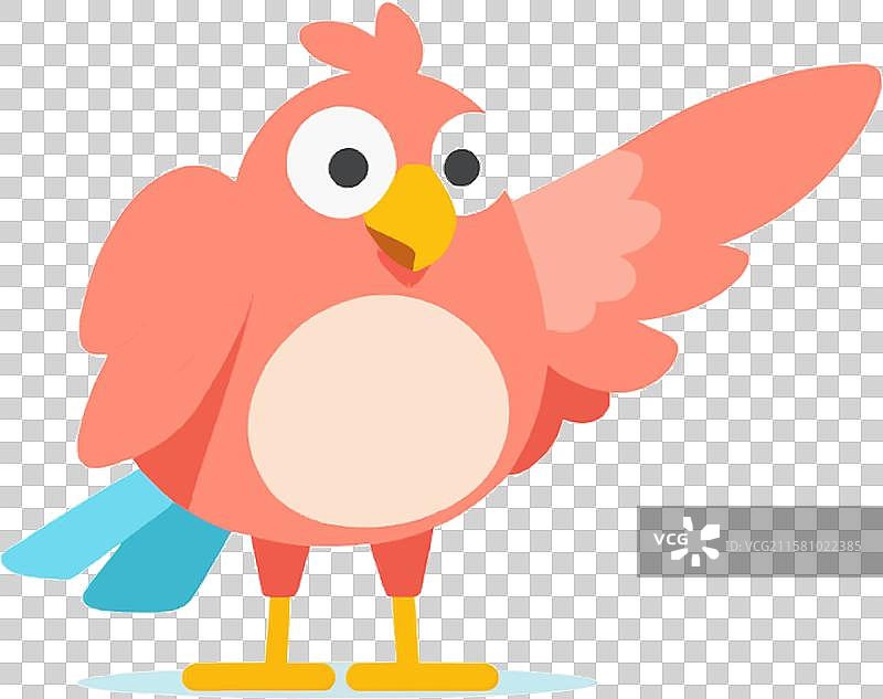 野生动物飞翔在自然环境中图片素材