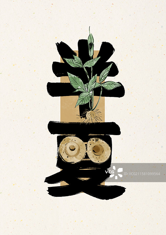 水墨风中医草药文字插画-半夏图片素材