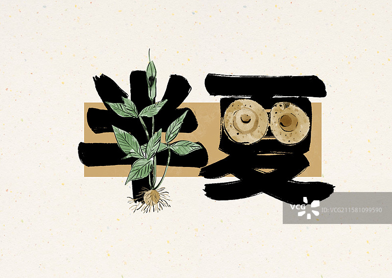 水墨风中医草药文字插画-半夏图片素材