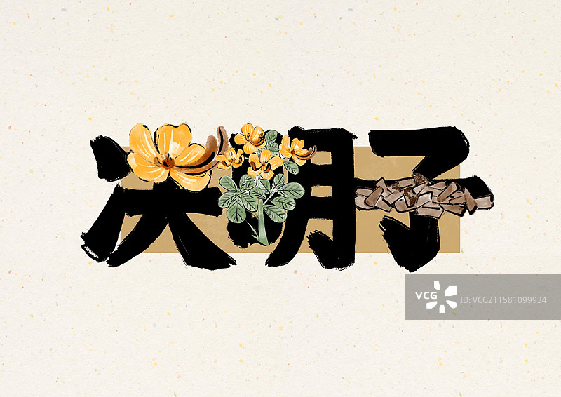 水墨风中医草药文字插画-决明子图片素材