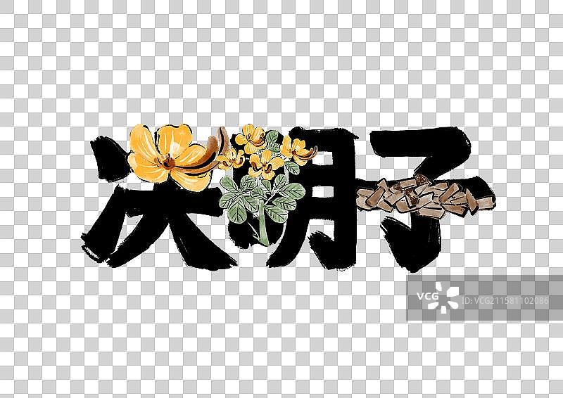 水墨风中医草药文字插画元素-决明子图片素材