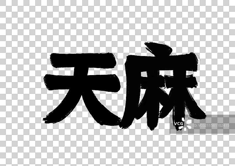 水墨风中医草药文字插画元素-天麻图片素材