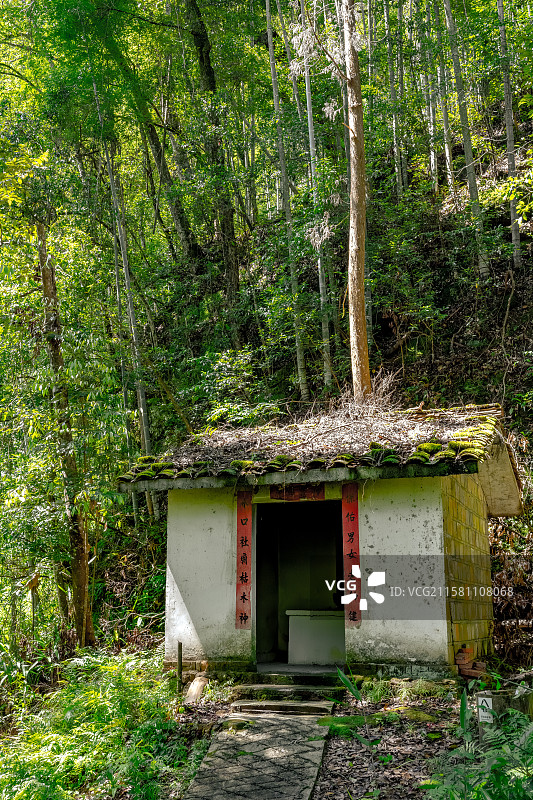 山谷里的土地庙 竹林深处的山神庙 村落社庙神祠祭祀点 福建三明寨下大峡谷 毛竹林图片素材