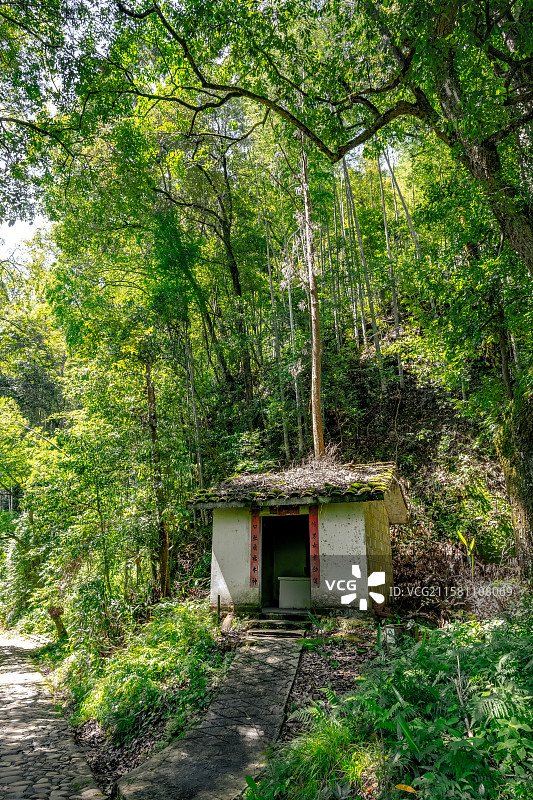 山谷里的土地庙 竹林深处的山神庙 村落社庙神祠祭祀点 福建三明寨下大峡谷 毛竹林图片素材