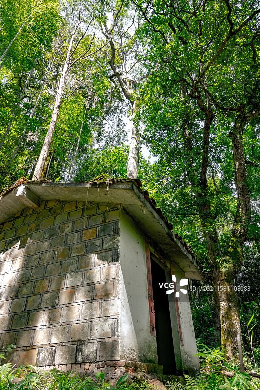 山谷里的土地庙 竹林深处的山神庙 村落社庙神祠祭祀点 福建三明寨下大峡谷 毛竹林图片素材