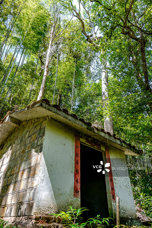 山谷里的土地庙 竹林深处的山神庙 村落社庙神祠祭祀点 福建三明寨下大峡谷 毛竹林图片素材