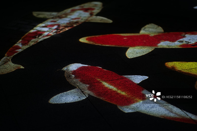 江苏文旅水乡金湖荷花广场夜间投影在路面的中式元素图案引人驻足观赏图片素材