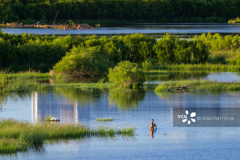 夏天的黑龙江大兴安岭加格达奇区甘河湿地，一人正在河水里捕捞摸鱼图片素材