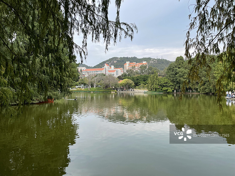 福建省厦门大学思明校区芙蓉湖景色图片素材