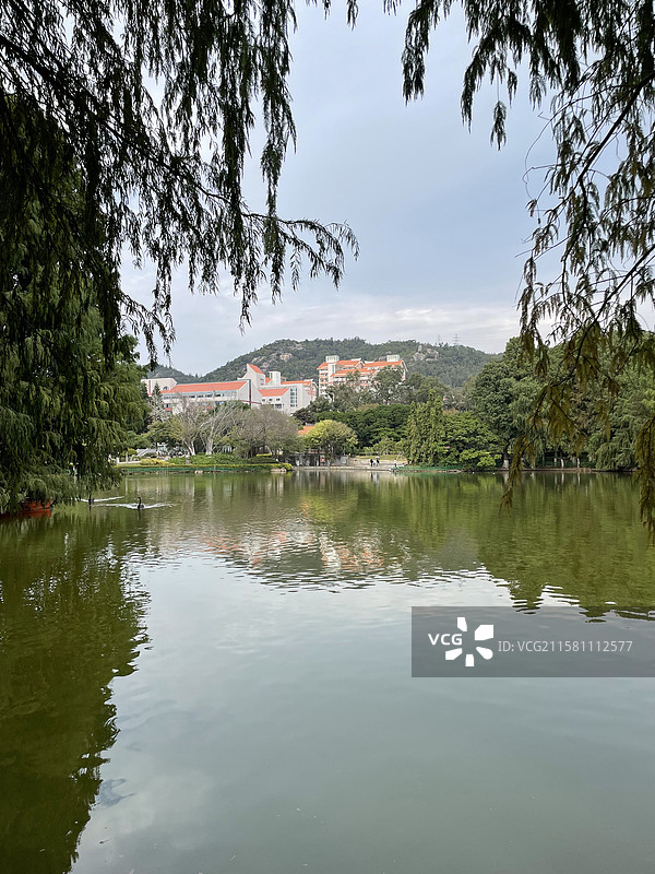 福建省厦门大学思明校区芙蓉湖景色图片素材