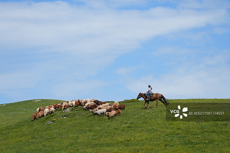 放羊的女孩牧民图片素材