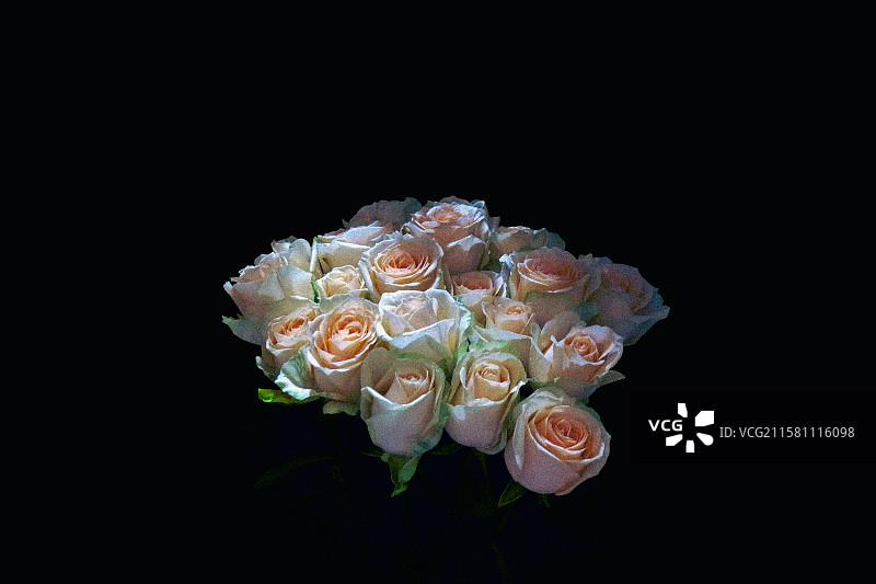 一束玫瑰花图片素材